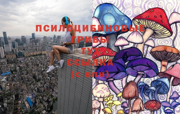 СК Пестово