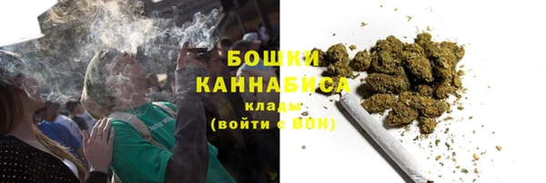 экстази Бородино