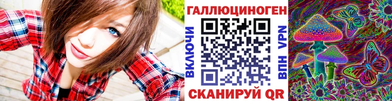 маркетплейс формула  Елизово  Псилоцибиновые грибы Magic Shrooms  хочу наркоту 